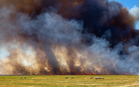 牧场与远处野火的影像。野火：之前和之后，如何保护你的农业企业