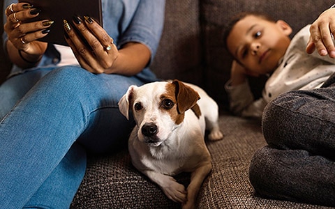 一只狗坐在大人和小孩之间的沙发上。如何判断你的狗是否生病了