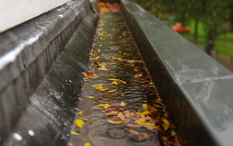 dirty gutters can cause water damage